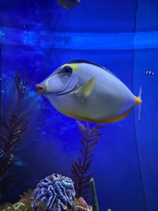 A scenic outdoor shot of SC.