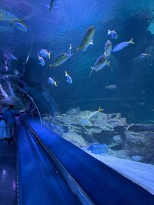 Scenic view of Florence, Italy with snow-covered mountains in the background