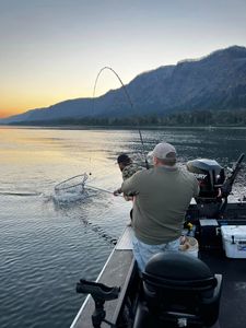 Exciting Adventures Fishing in the River