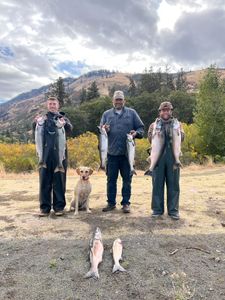 Rainbow Trout Fish and Salmon Abundance in Oregon