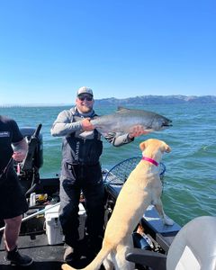 Salmon Fishing Excitement Awaits