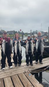 8 rainbow trout and pink salmon in Portland
