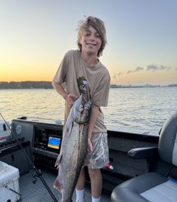Chinook salmon catch displayed on fishing boat in Portland OR during sunset