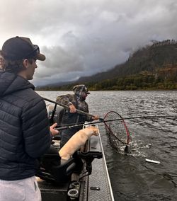 Fishing scene with boat on lake surrounded by forested hills and cloudy sky in Portland OR