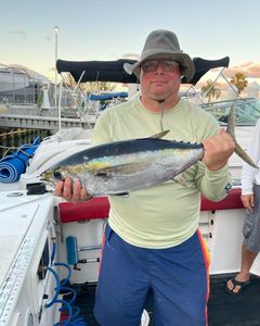 Yellowfin Tuna Fish from Fort Lauderdale, FL