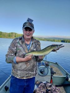 Chain pickerel caught while fishing on boat in Forest Inn PA