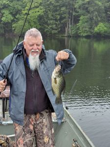 Freshly caught crappie being displayed on fishing boat at Forest Inn PA