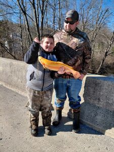 Fishing success at Forest Inn PA with golden fish catch displayed on bridge