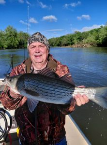 Striped bass fishing catch in Forest Inn PA on boat with fishing rod and river background