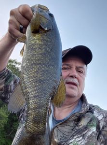 Freshly caught smallmouth bass being held up at Forest Inn PA fishing location