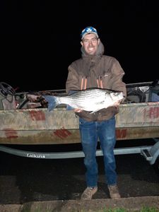 Angler holding large striped bass catch next to fishing boat at Forest Inn PA