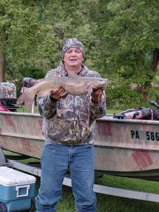 White catfish catch displayed at Forest Inn PA fishing location