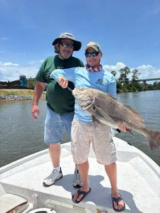 Black drum fish catch displayed on fishing boat in Gulf Shores AL