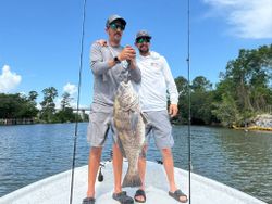 Black drum catch on fishing boat in Gulf Shores AL