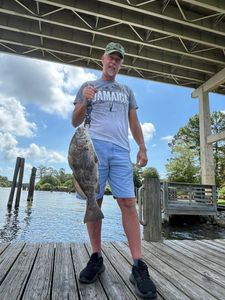 Black drum catch displayed on fishing dock in Gulf Shores Alabama