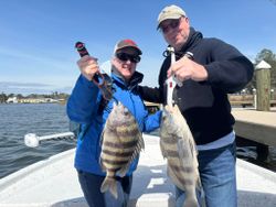 Two anglers displaying their catch of black drum and sheepshead fish in Gulf Shores AL