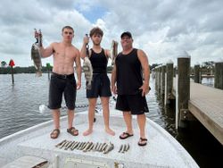 Three anglers displaying their catch of Black Drum and Speckled Trout on boat dock in Gulf Shores AL
