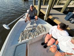 Large catch of fish displayed on boat deck at Gulf Shores AL marina