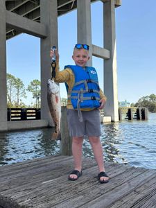 Redfish catch displayed on fishing dock in Gulf Shores AL
