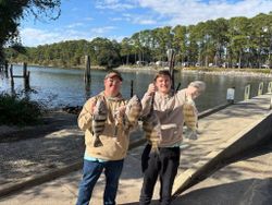Two anglers displaying their catch of sheepshead and black drum at Gulf Shores AL fishing dock