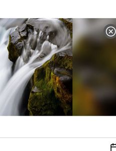 Fishing adventure in Florida