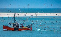 Florida fishing experiences and water sports