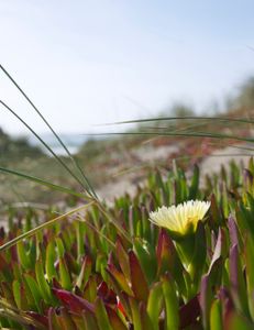 Fishing experiences in Tampa, Florida