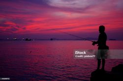 Tampa fishing and water sports experience