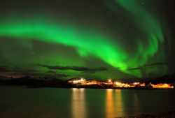 A picturesque scene of the Tampa coastline, showcasing the best of the area's outdoor experiences.