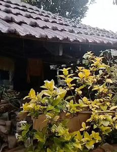 Exciting outdoor adventures in FL