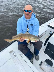Big Bite on Light Gear in Jax