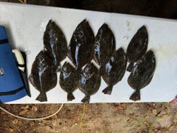 Flounder Biting in the Bay