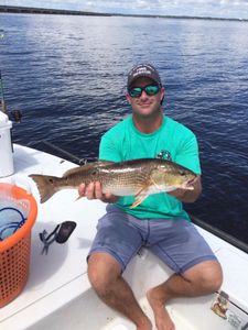 One 23-inch redfish caught while fishing in Jacksonville