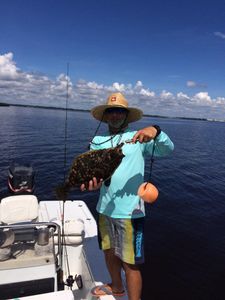 Photograph of a Southern Flounder fish caught in FL