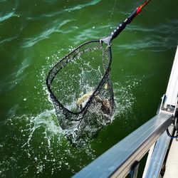 Fishing in SK