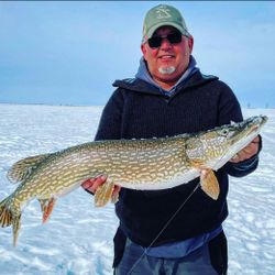 Northern Pike fish caught in Saskatchewan