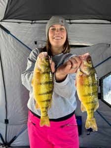 Two fishing rods with caught fish in Saskatchewan