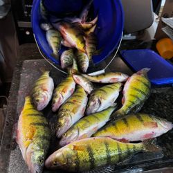 10 fishing in saskatchewan