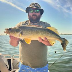 A fisherman stands in the waters of Saskatchewan, enjoying a successful fishing trip.