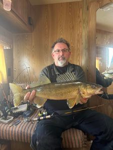 Walleye fish caught in Saskatchewan, Canada