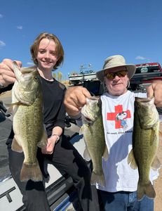 3 Largemouth Bass caught in TX