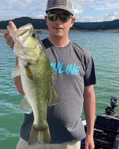 Blissful Fishing Charters in Texas, Bass Fishing