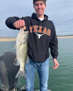 Exciting Bass Fishing Adventures
