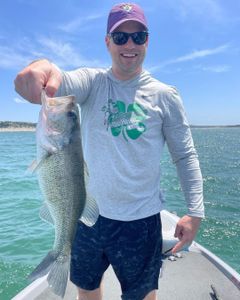 Scenic Lake for Fishing Bass