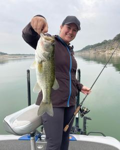 Fishing at a Lake, Catching Big Bass Fish