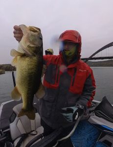 Bass fishing lake Austin 