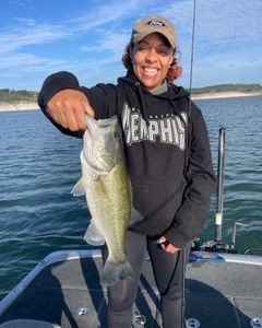 Lake Travis fishing spots