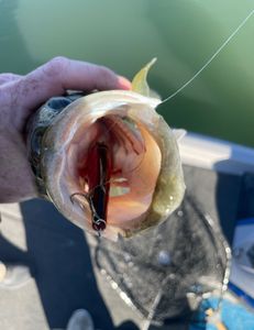 A fisherman enjoying the great outdoors in Texas