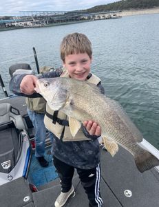 A single angler fishing in Lago Vista