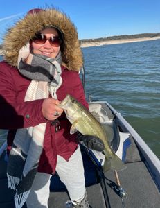 Largemouth Bass caught while fishing in TX